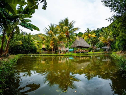 Quillabamba Travel - ChocoFinca